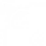 Connection icon